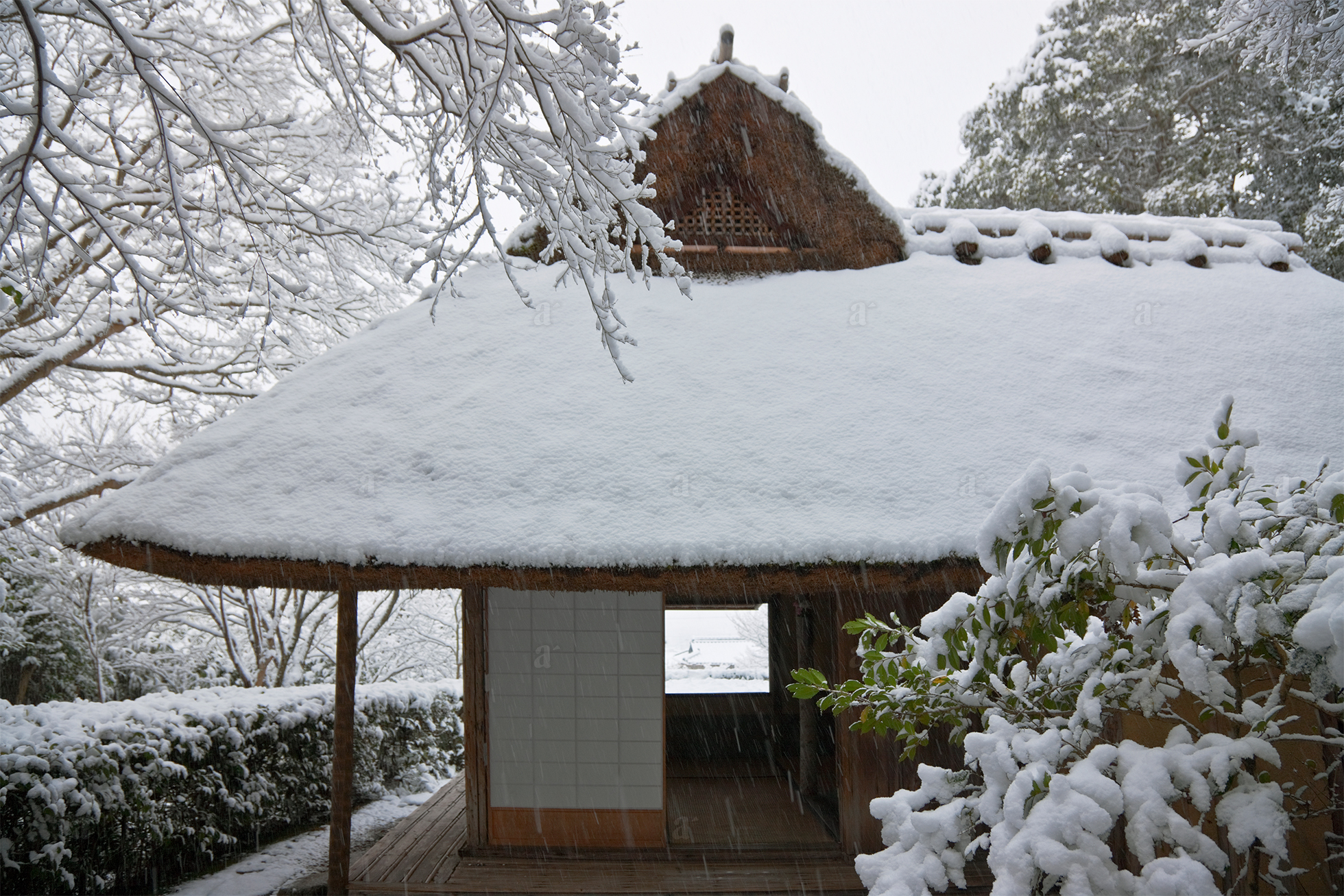 ベン・シモンズ &ldquo;芭蕉庵　京都&rdquo; Ben Simmons &ldquo;Basho-an, Kyoto&rdquo;